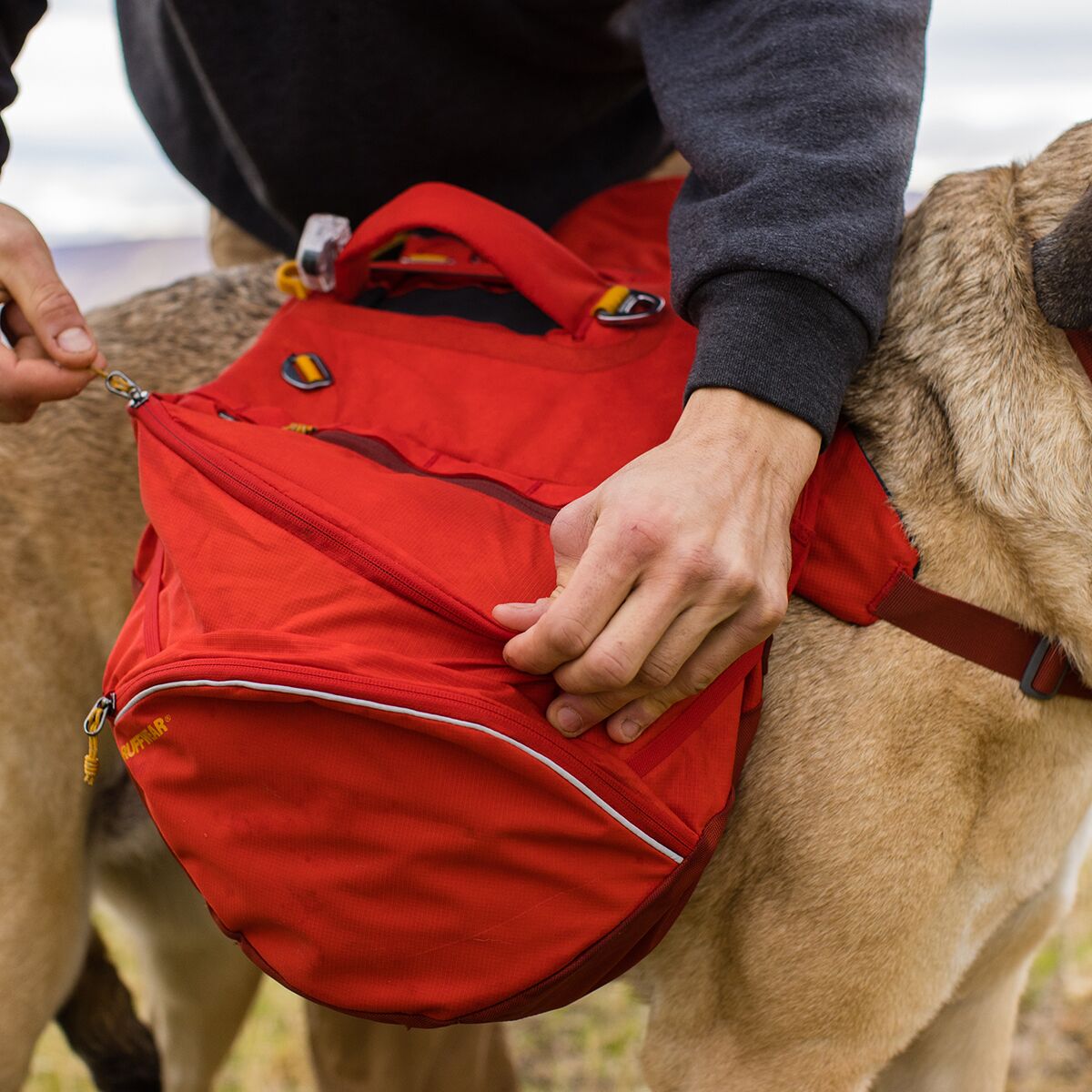 Ruffwear Palisades Dog Pack