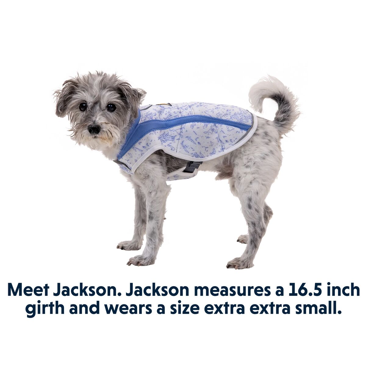 Ruffwear Swamp Cooler Vest