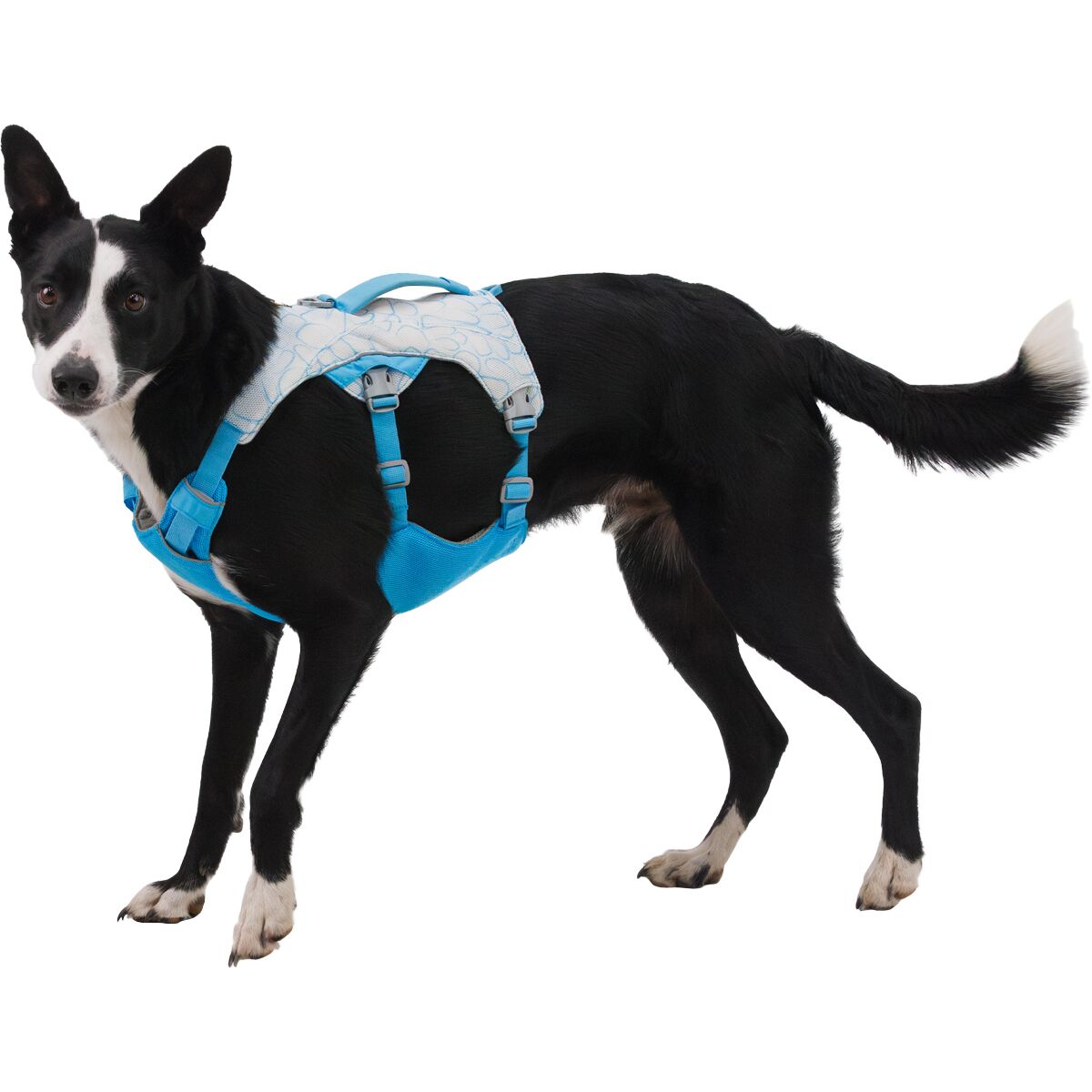 Ruffwear Swamp Cooler Harness