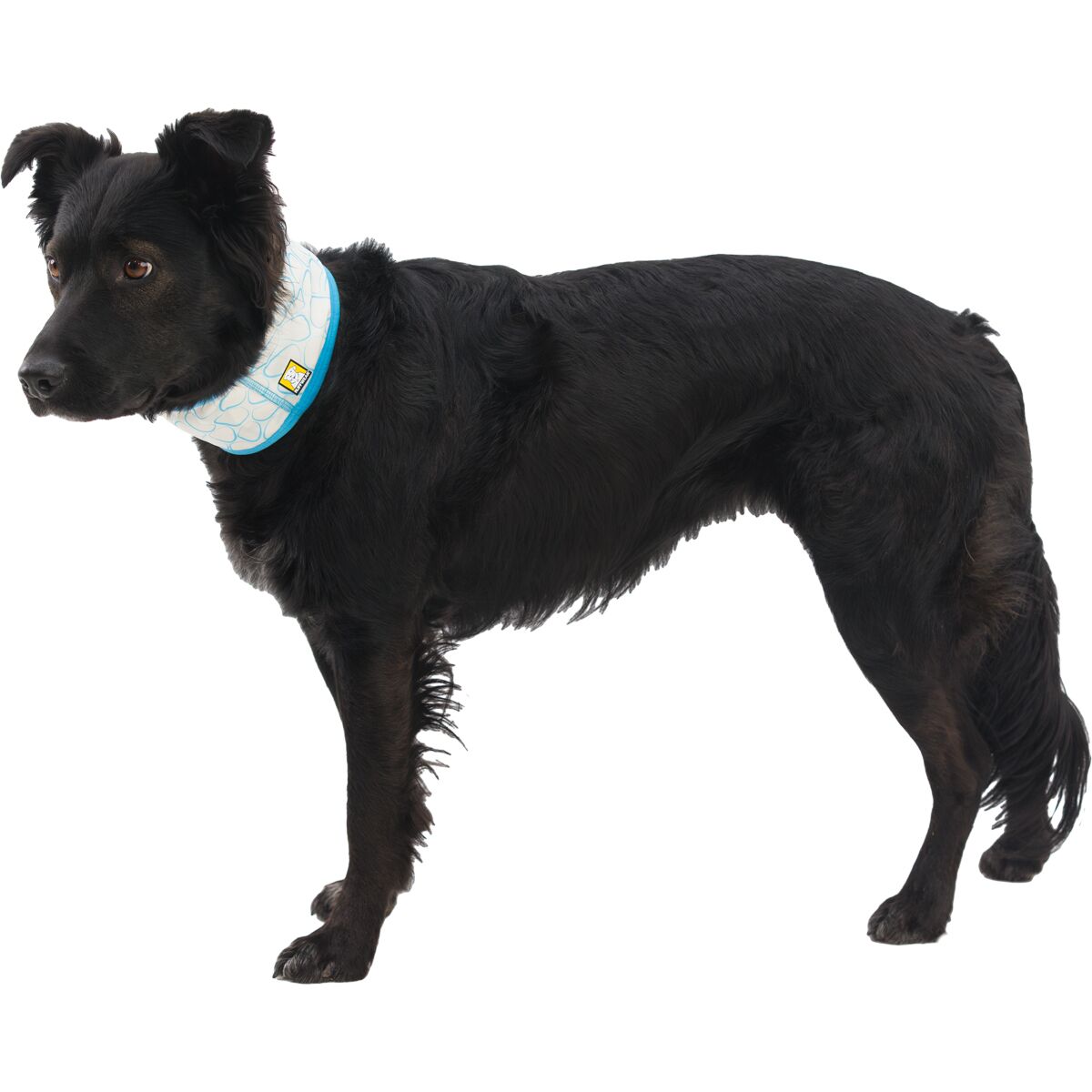 Ruffwear Swamp Cooler Neck Gaiter