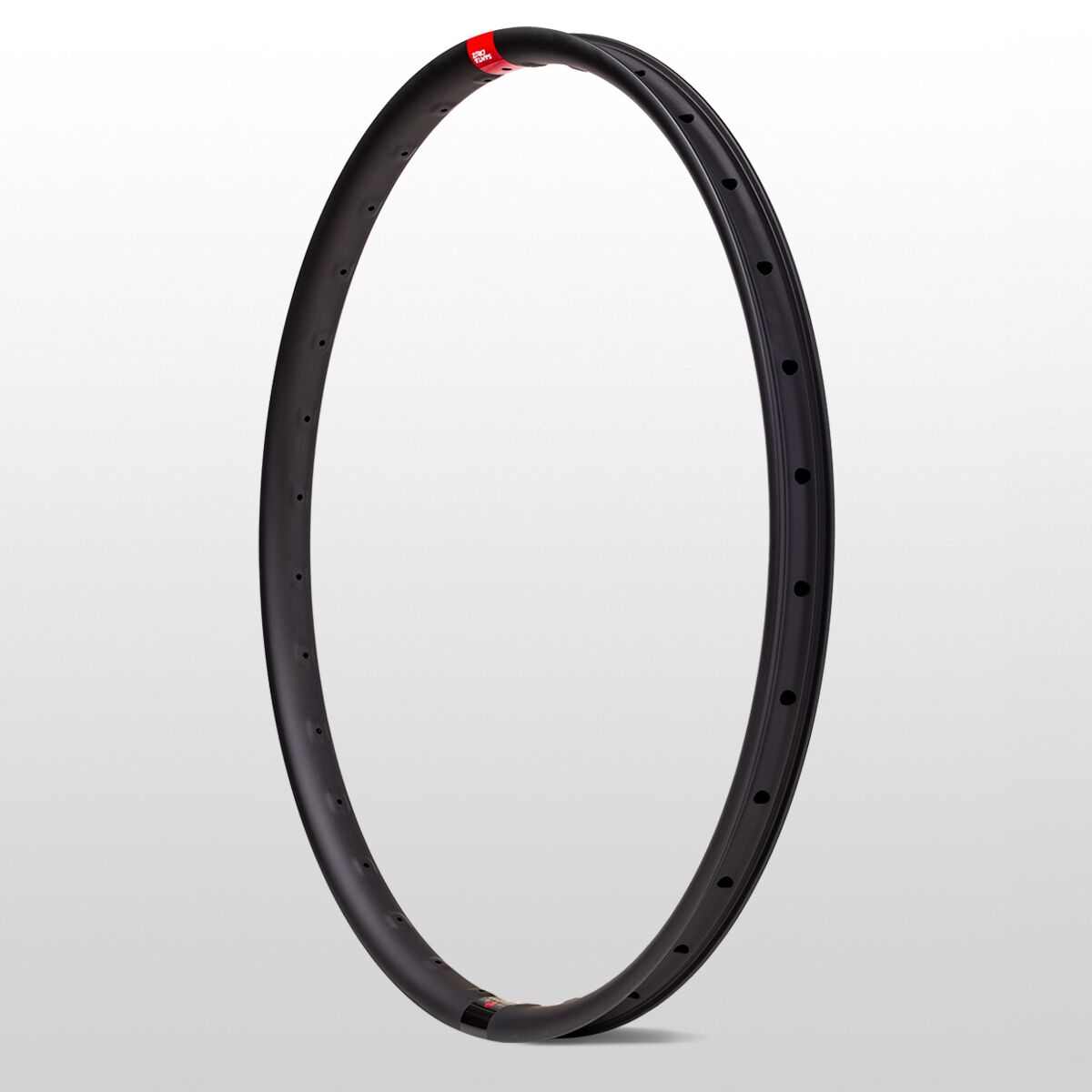 Reserve DH 29in Carbon Rim
