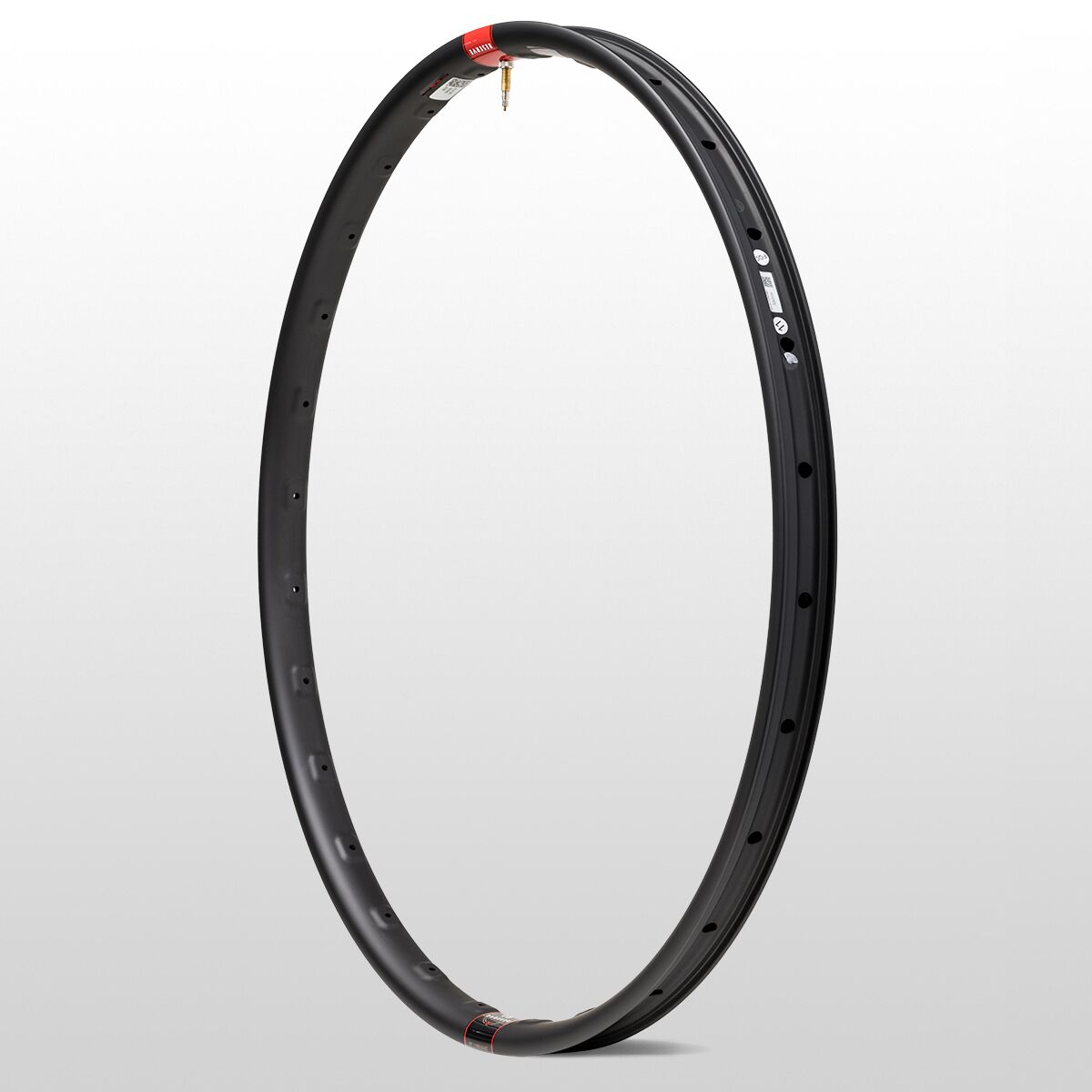 Reserve 30 SL 29in Carbon Rim