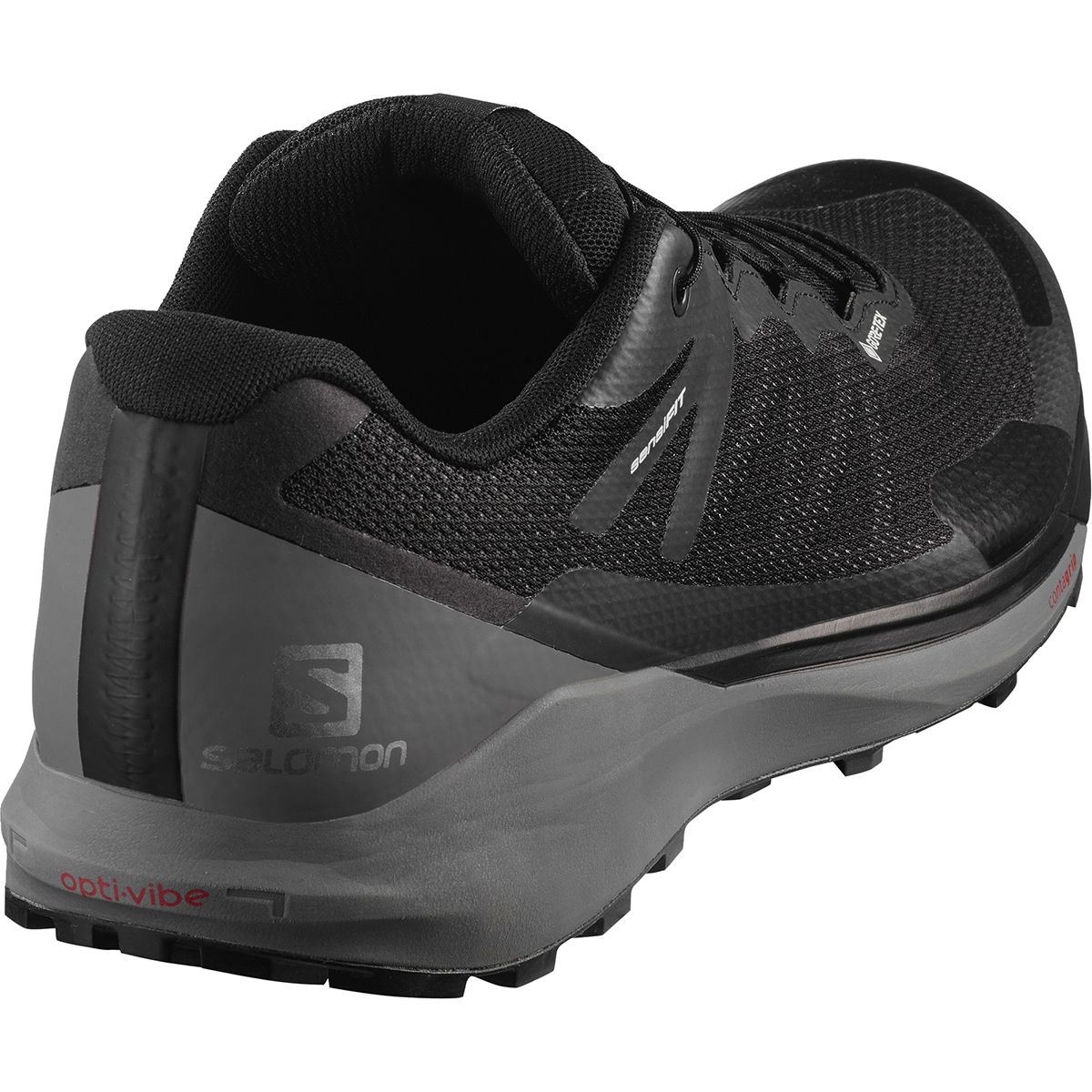 salomon sense ride 2 gtx invisible fit