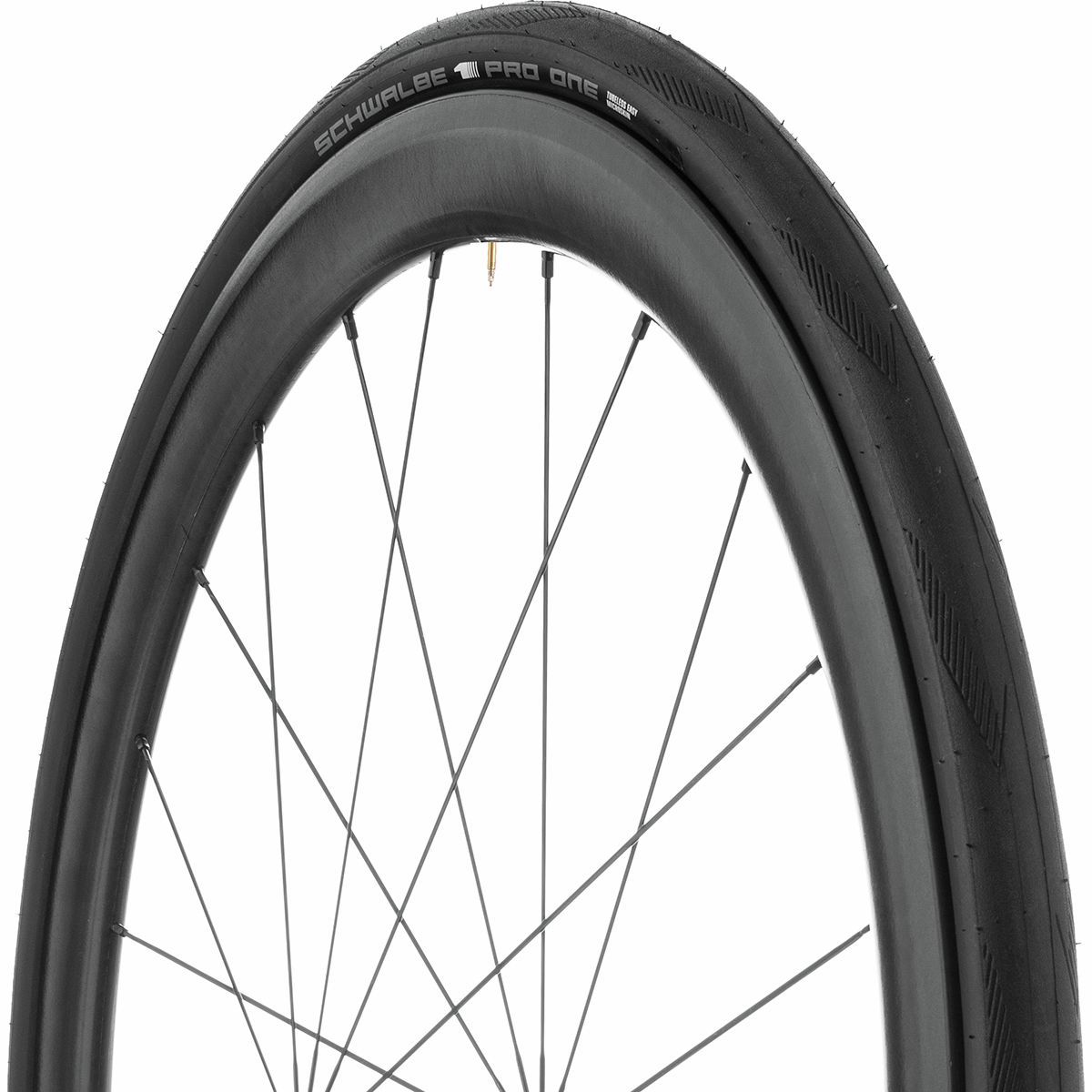 schwalbe tubeless mtb