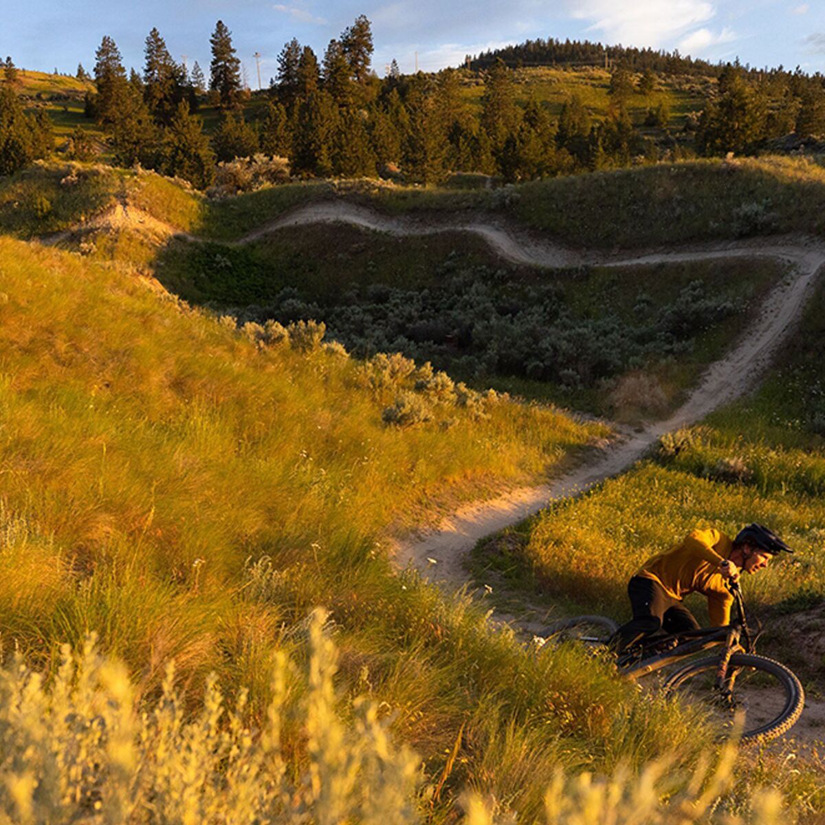 Specialized Purgatory GRID 2Bliss 29in T9 Tire