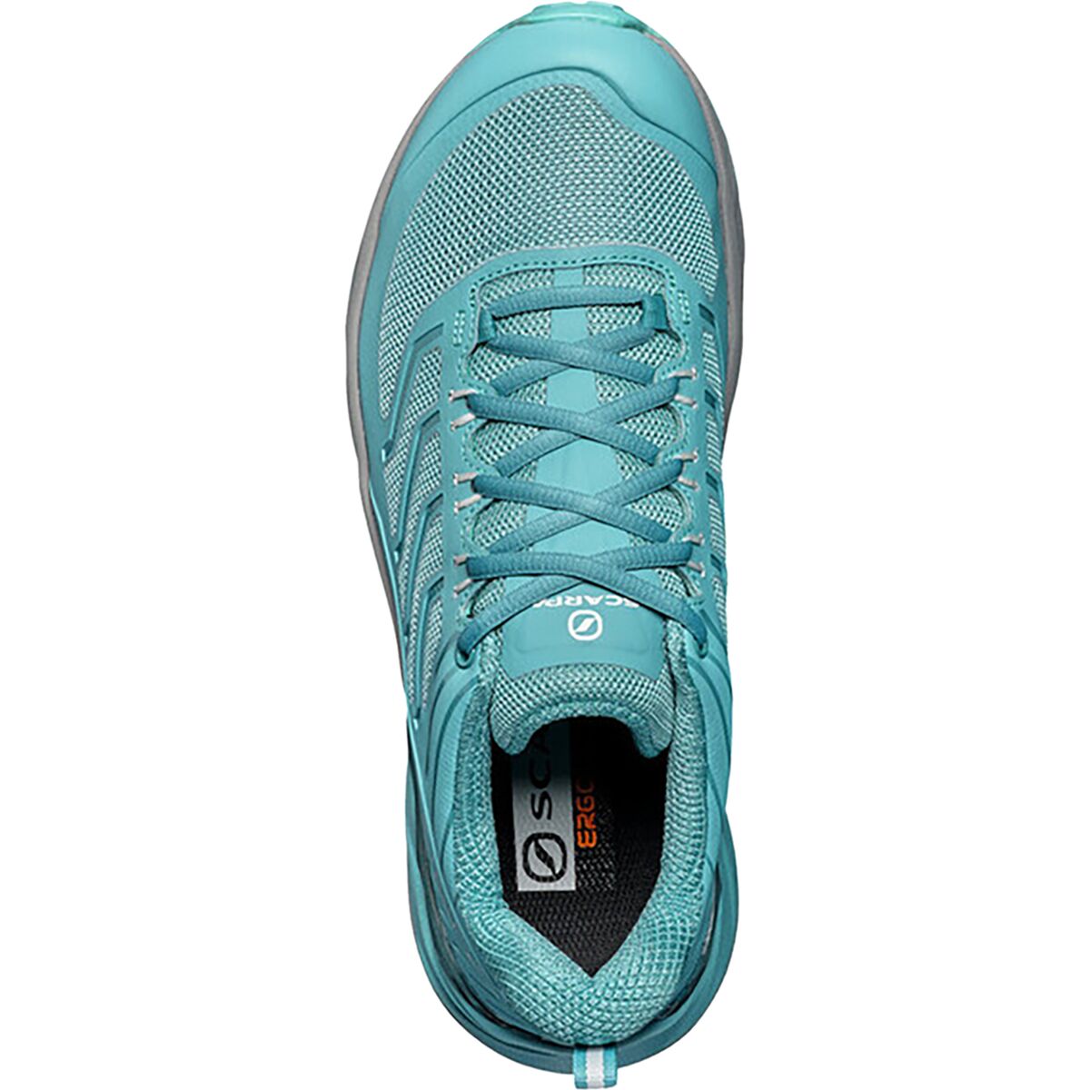 scarpa womens trainers