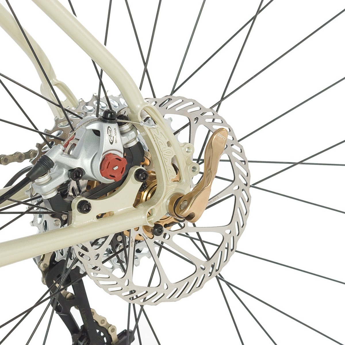 salsa fargo belt drive