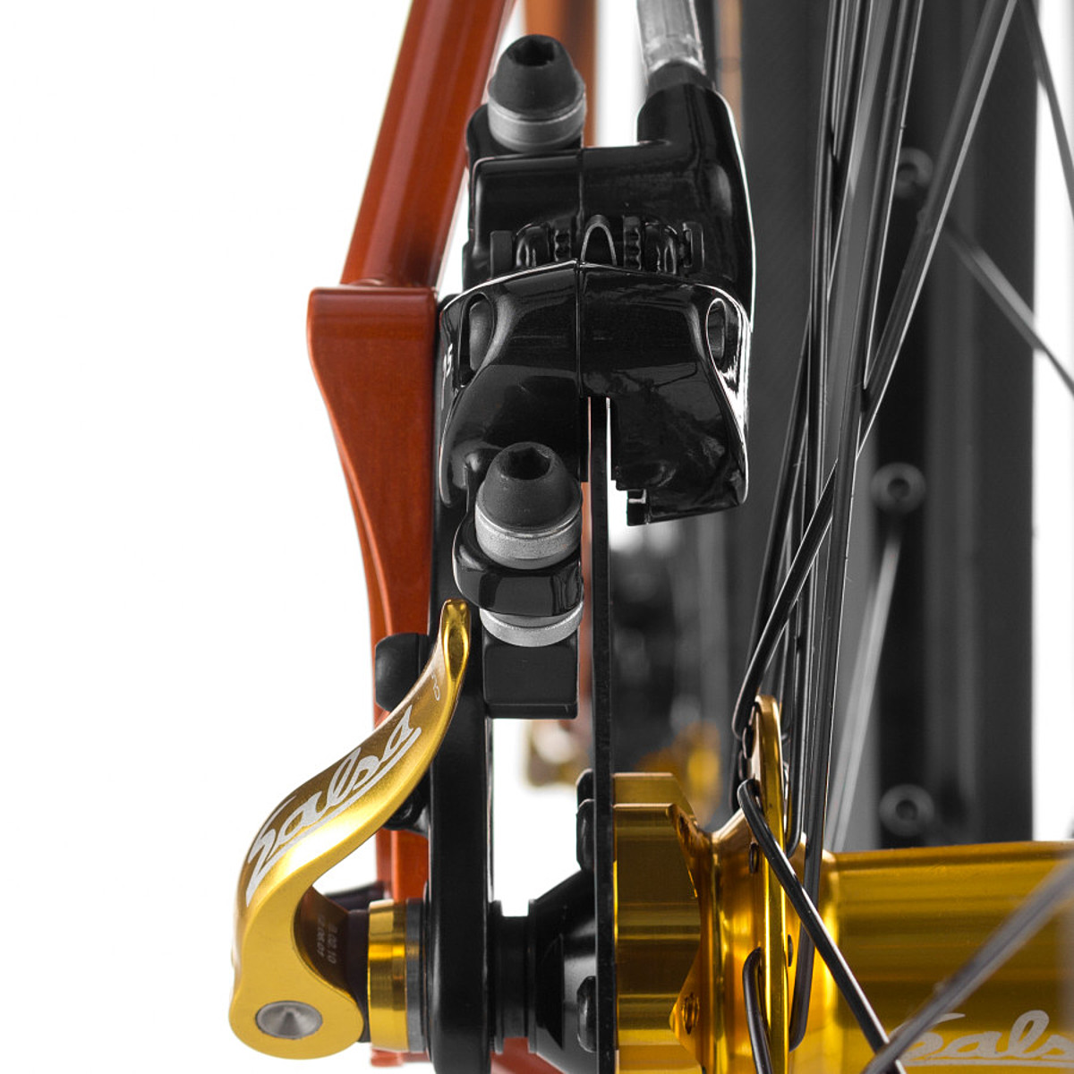 salsa mariachi bike