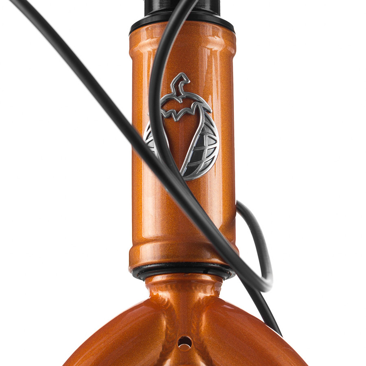 salsa mariachi bike