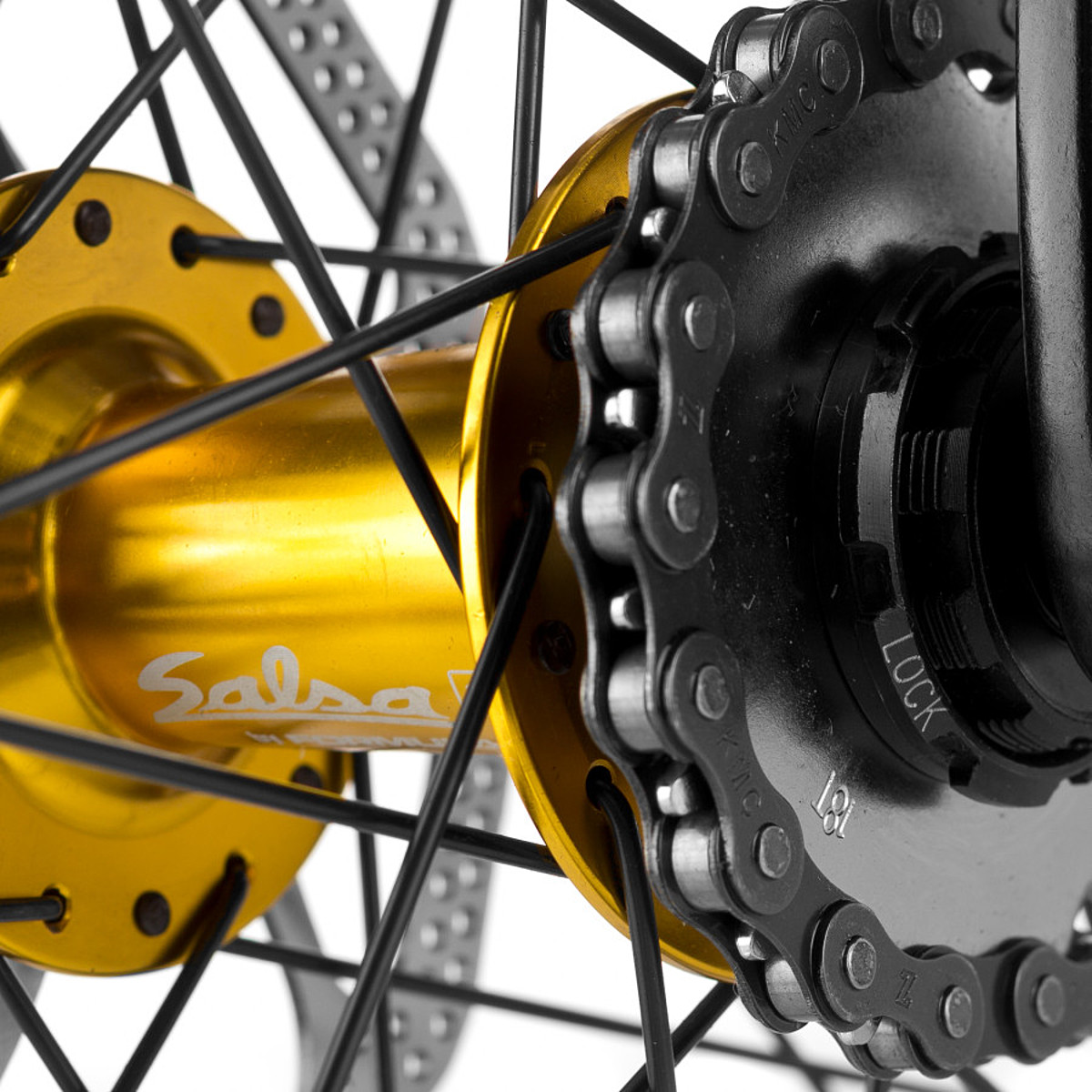salsa mariachi bike
