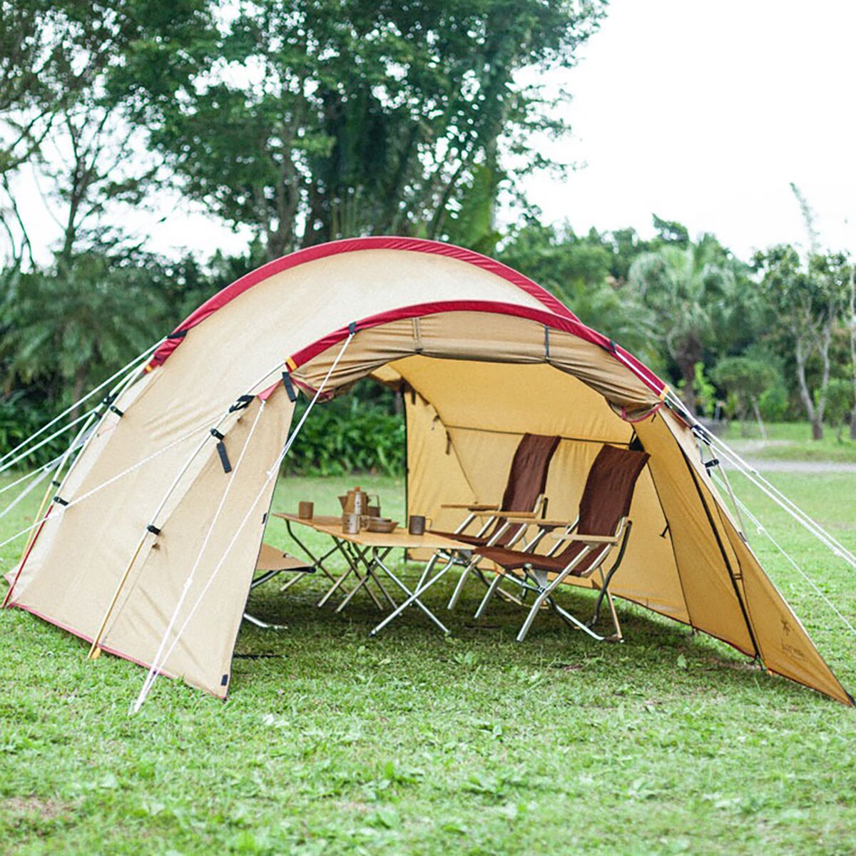 Snow Peak Folding Low Beach Chair