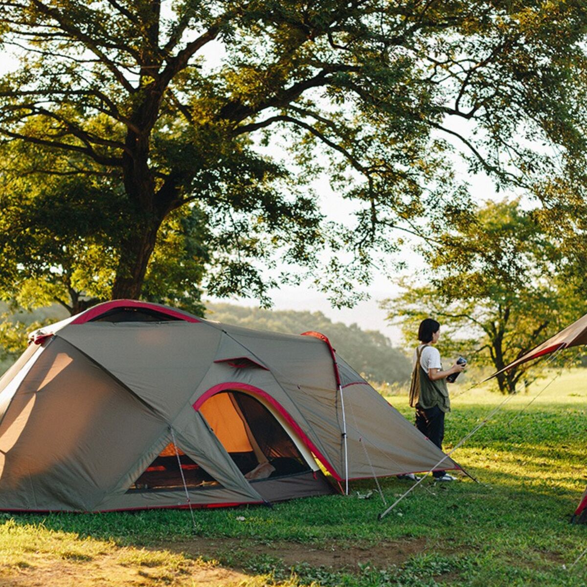 Snow Peak Land Breeze Pro. 3 Tent 4person 3season Hike & Camp