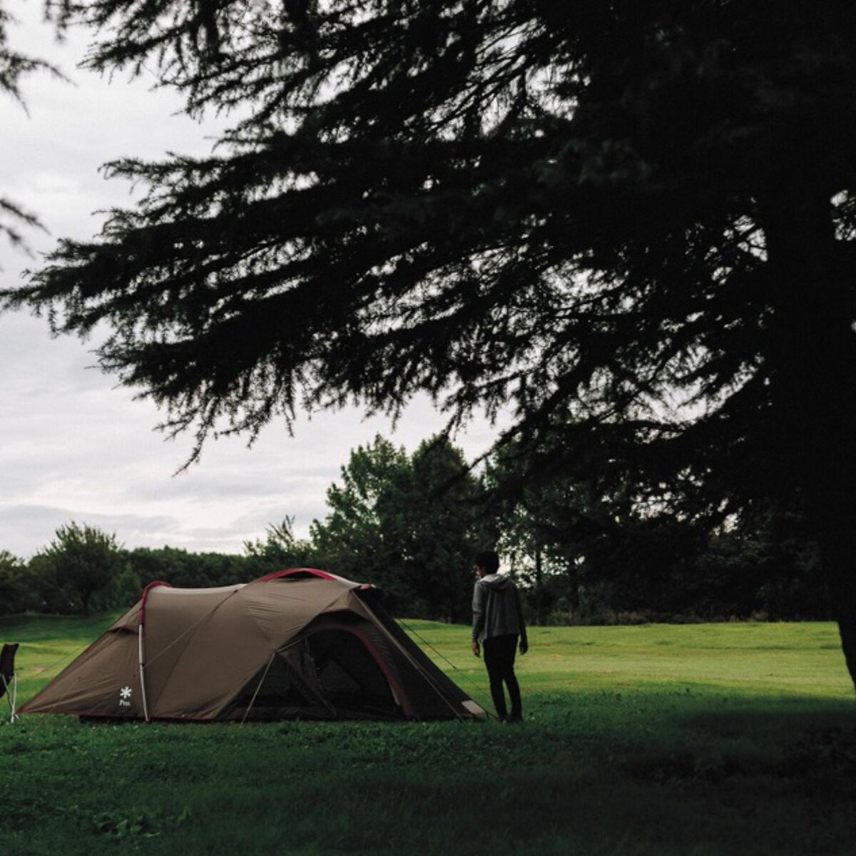Snow Peak Land Breeze Pro. 3 Tent 4person 3season Hike & Camp