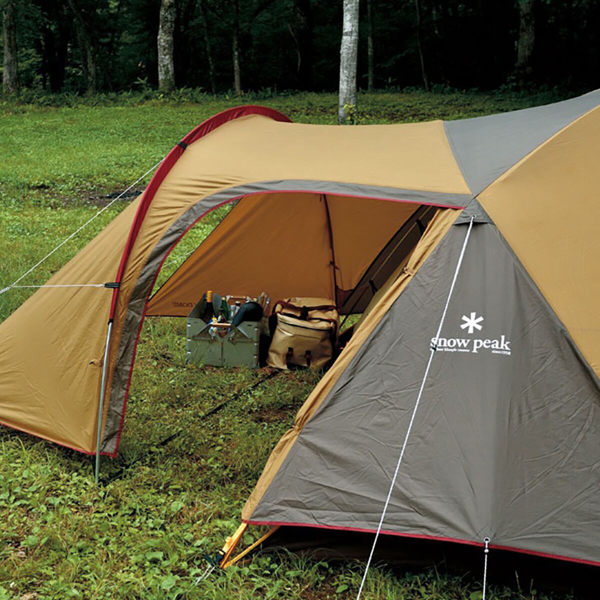 Snow Peak Amenity Dome Tent: 2-Person 3-Season