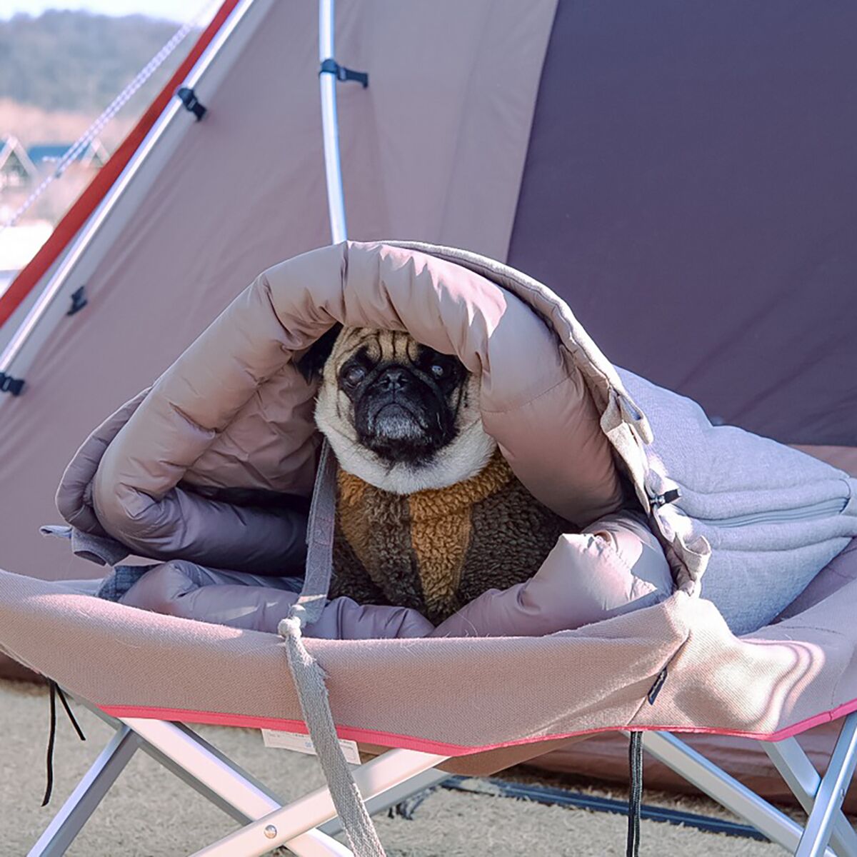 Snow Peak Dog Ofuton Sleeping Bag