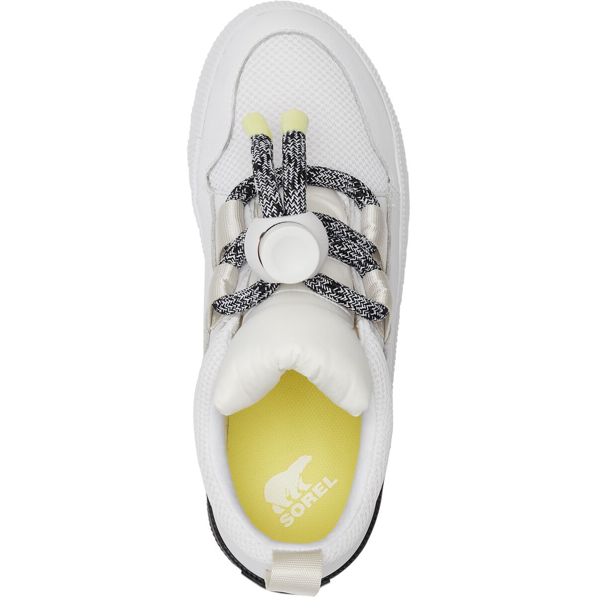 sorel out n about lace sneaker