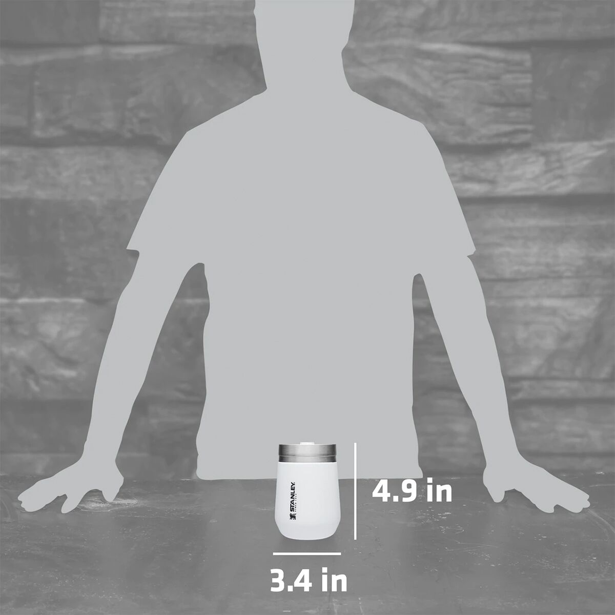 Stanley The Everyday GO 10oz Tumbler 2 Pack Hike & Camp