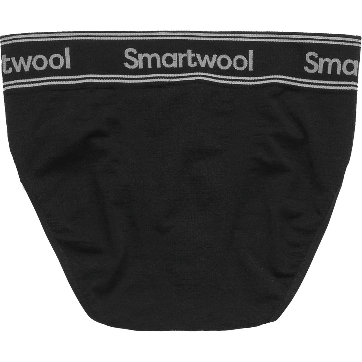 Smartwool PhD Seamless Brief Men's Clothing