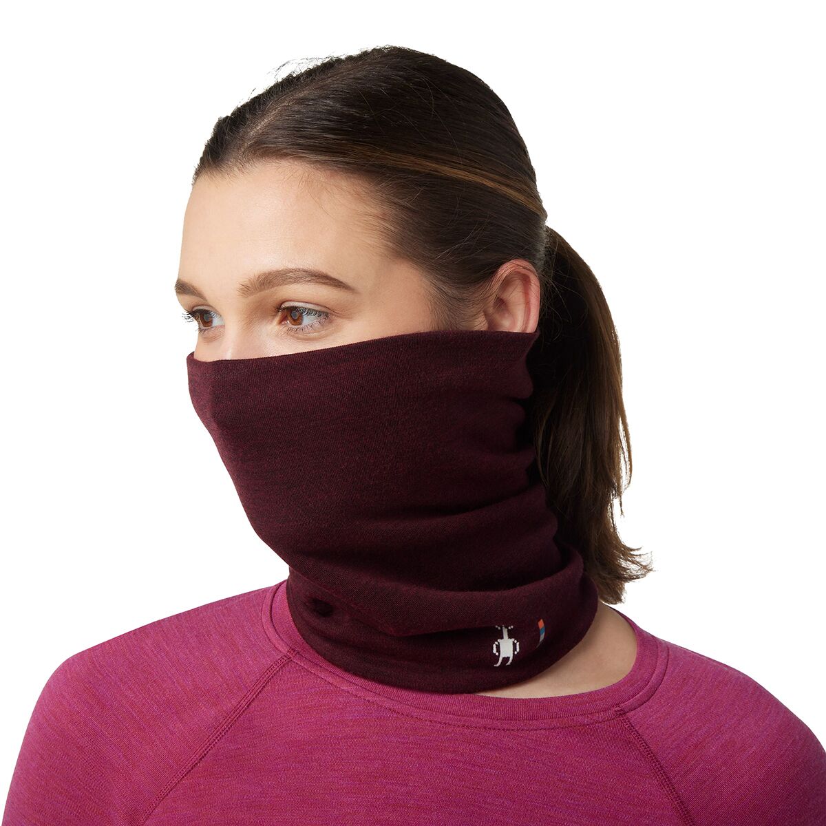 Smartwool Merino 250 Neck Gaiter Accessories