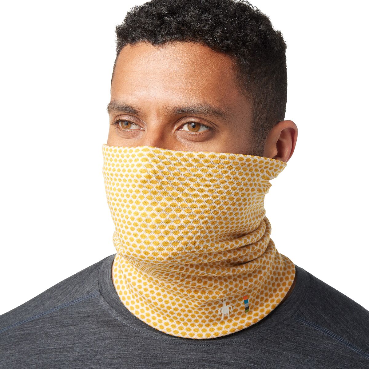 Smartwool Merino 250 Reversible Pattern Neck Gaiter Accessories