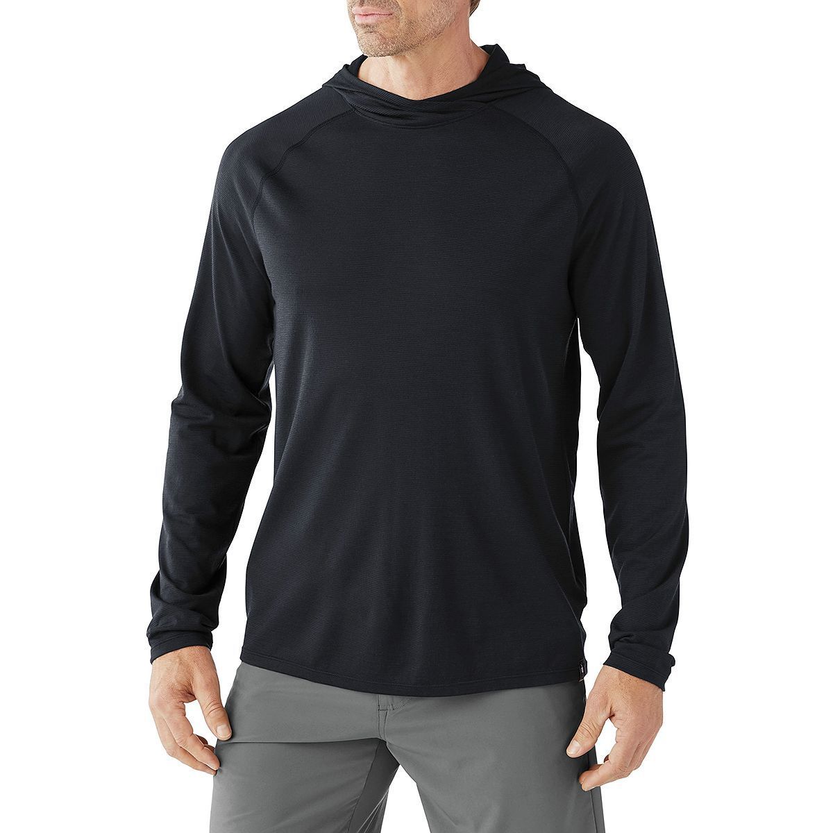 merino sport 150 hoodie