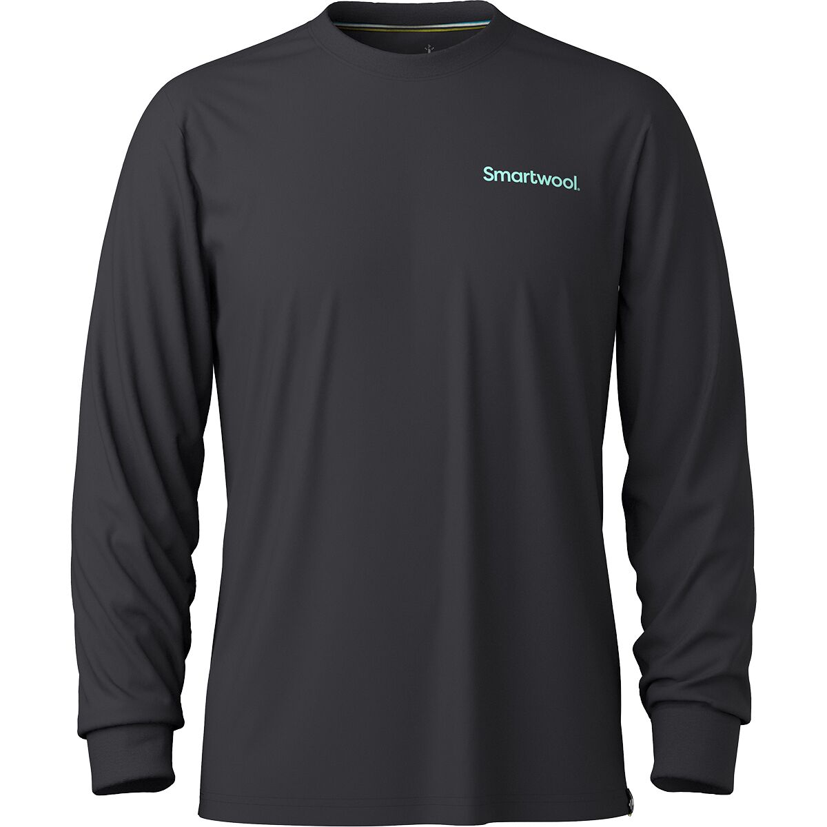 Мужская футболка Smartwool Gondola View Long-Sleeve Graphic, цвет: Чёрный — фото 1