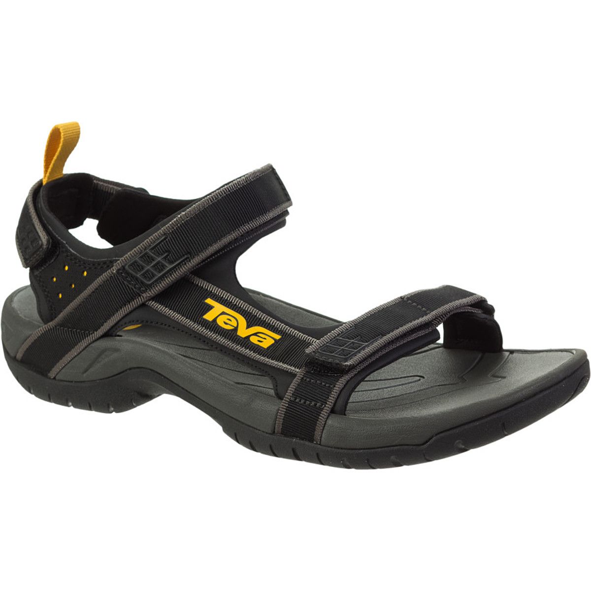 teva guys