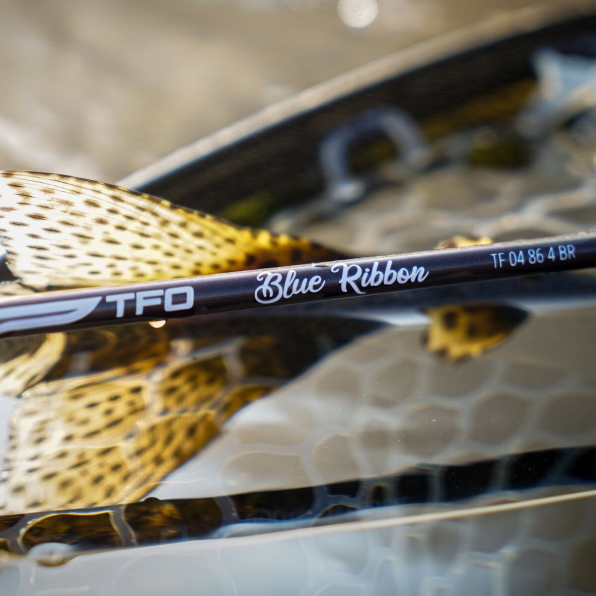 TFO Blue Ribbon Series Fly Rod
