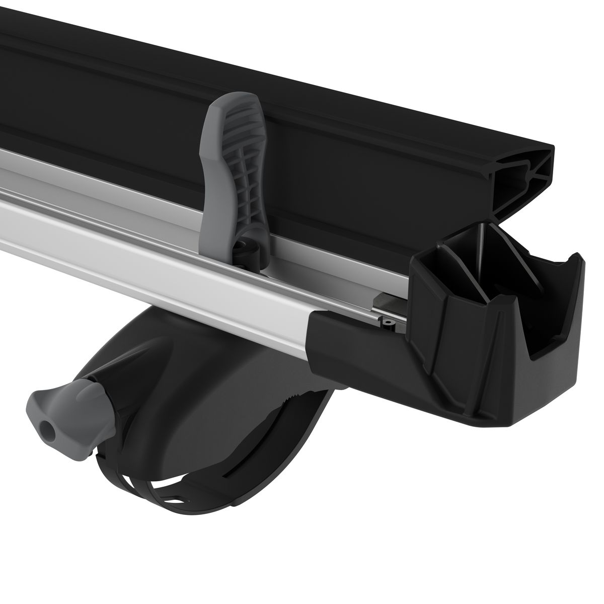Thule SnowPack M Roof Mount