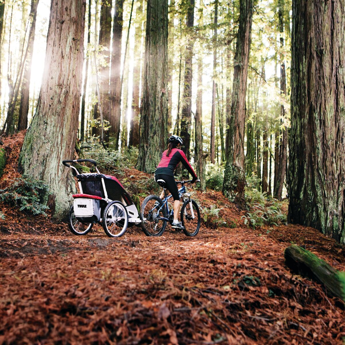 Thule Chariot Bicycle Trailer Kit