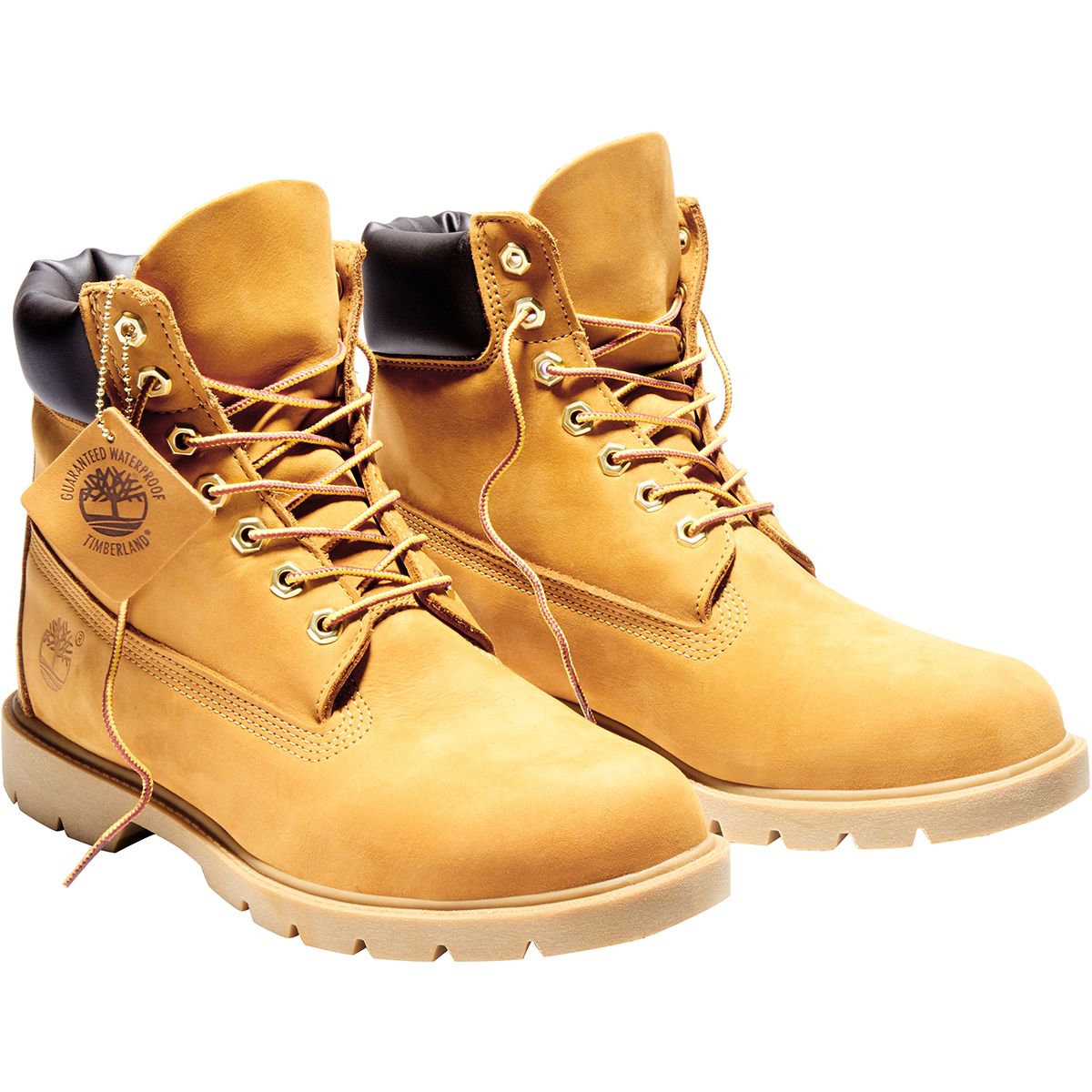 timberland 6 in basic