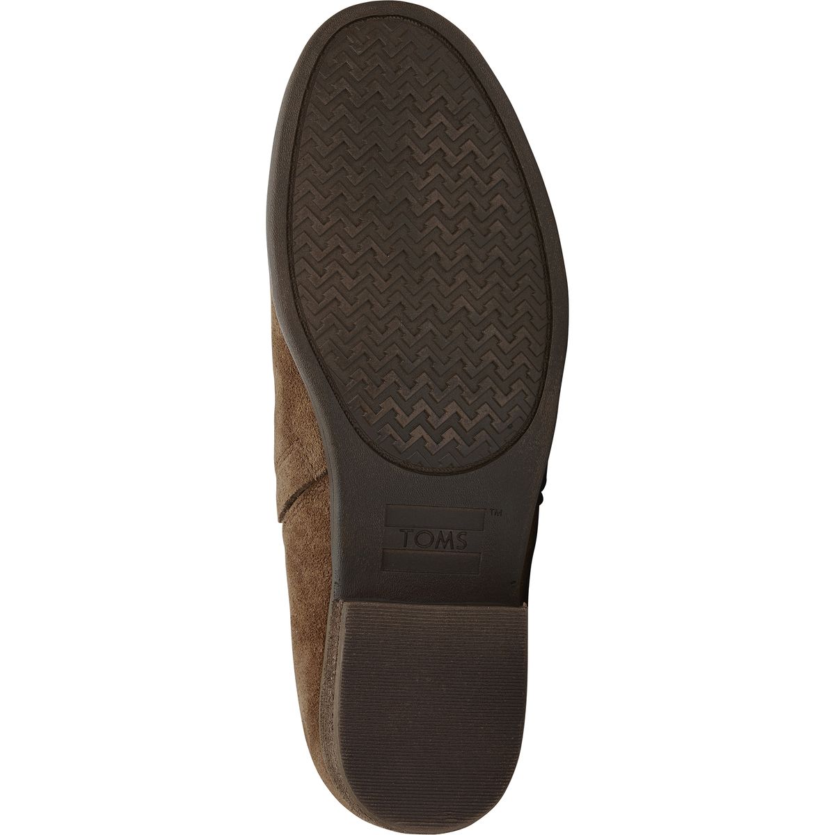 toms shaye