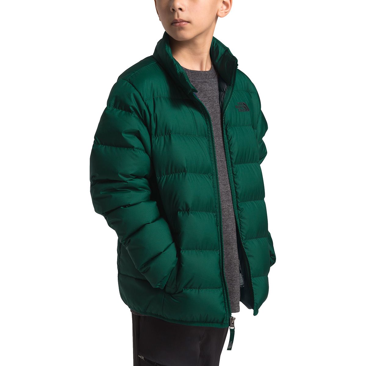 THE NORTH FACE JACKET SALE BOYS visual data 2