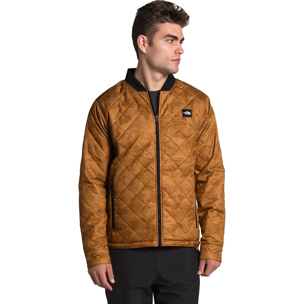 jester reversible bomber jacket the north face
