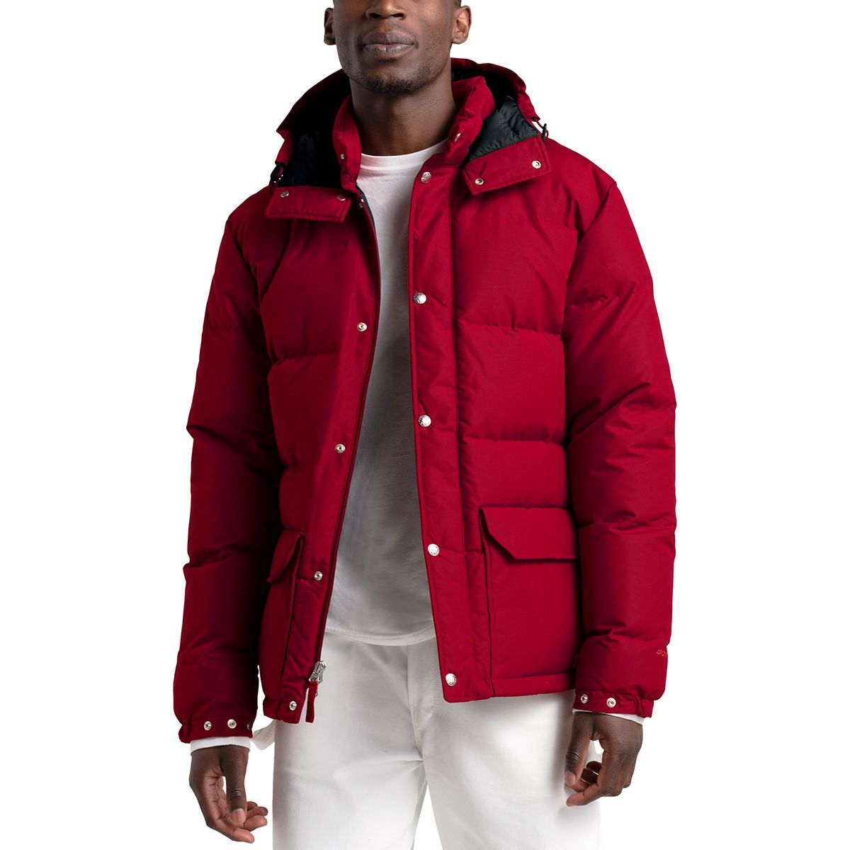 the north face men's down sierra 2.0 jacket