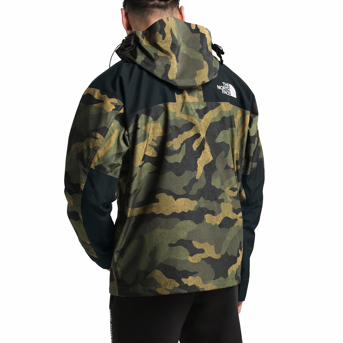 north face gtx parka