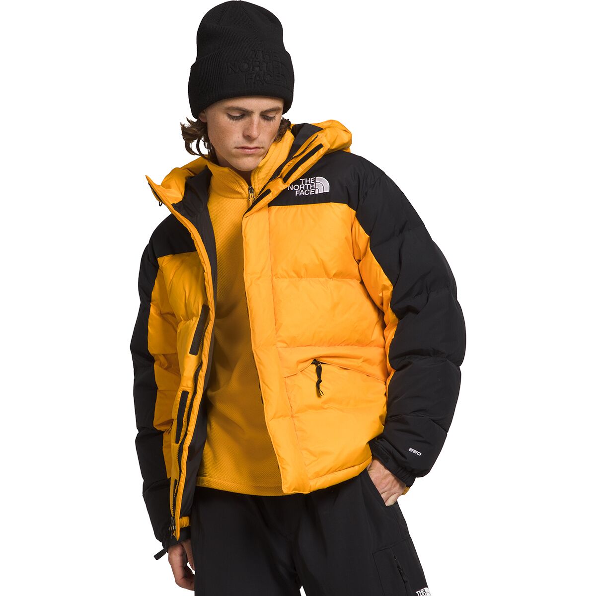 The North Face HMLYN Down Parka - Men's - Clothing