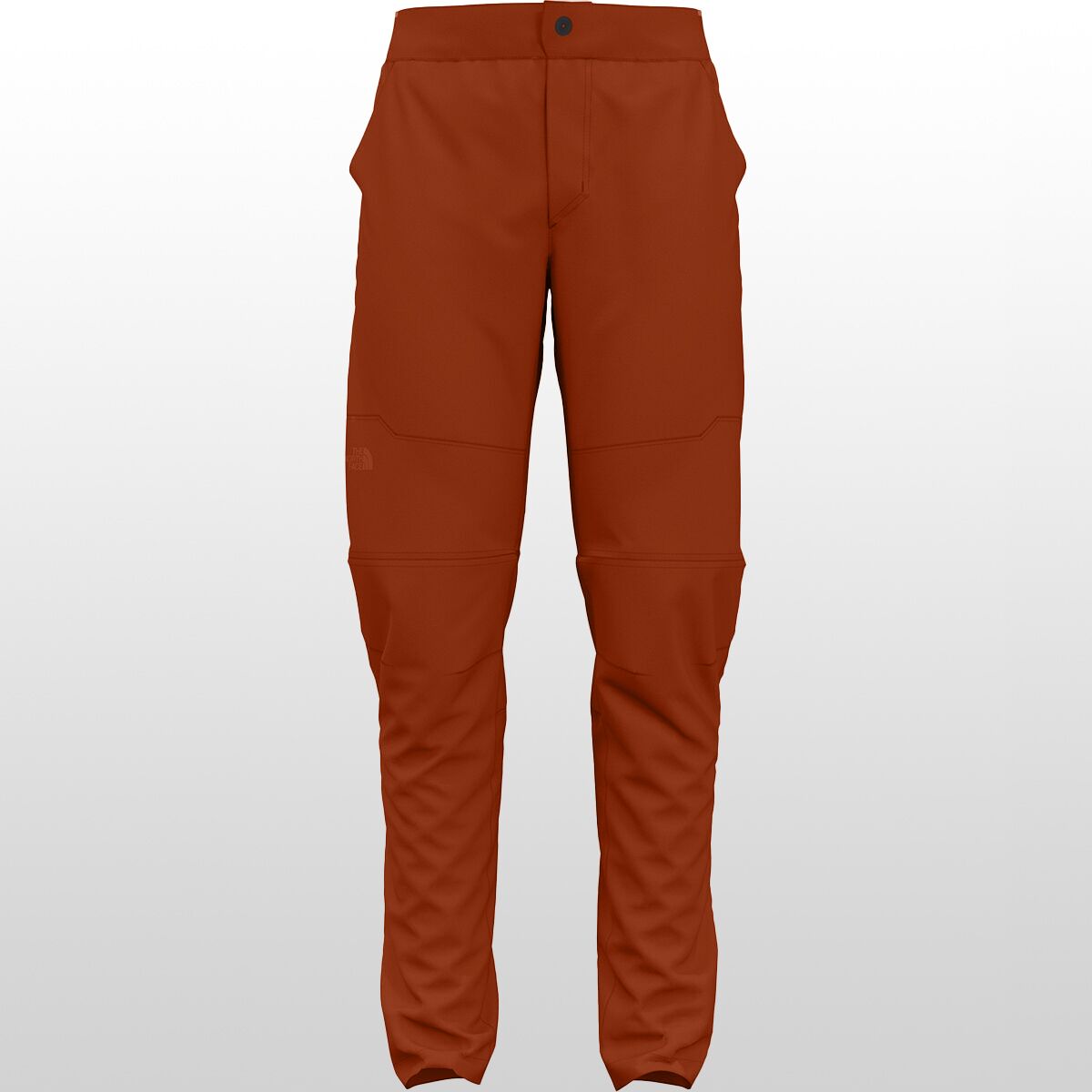 THE NORTH FACE Mens Paramount Convertible Pant - PFAS Free New Taupe Green-NPF 36 Short