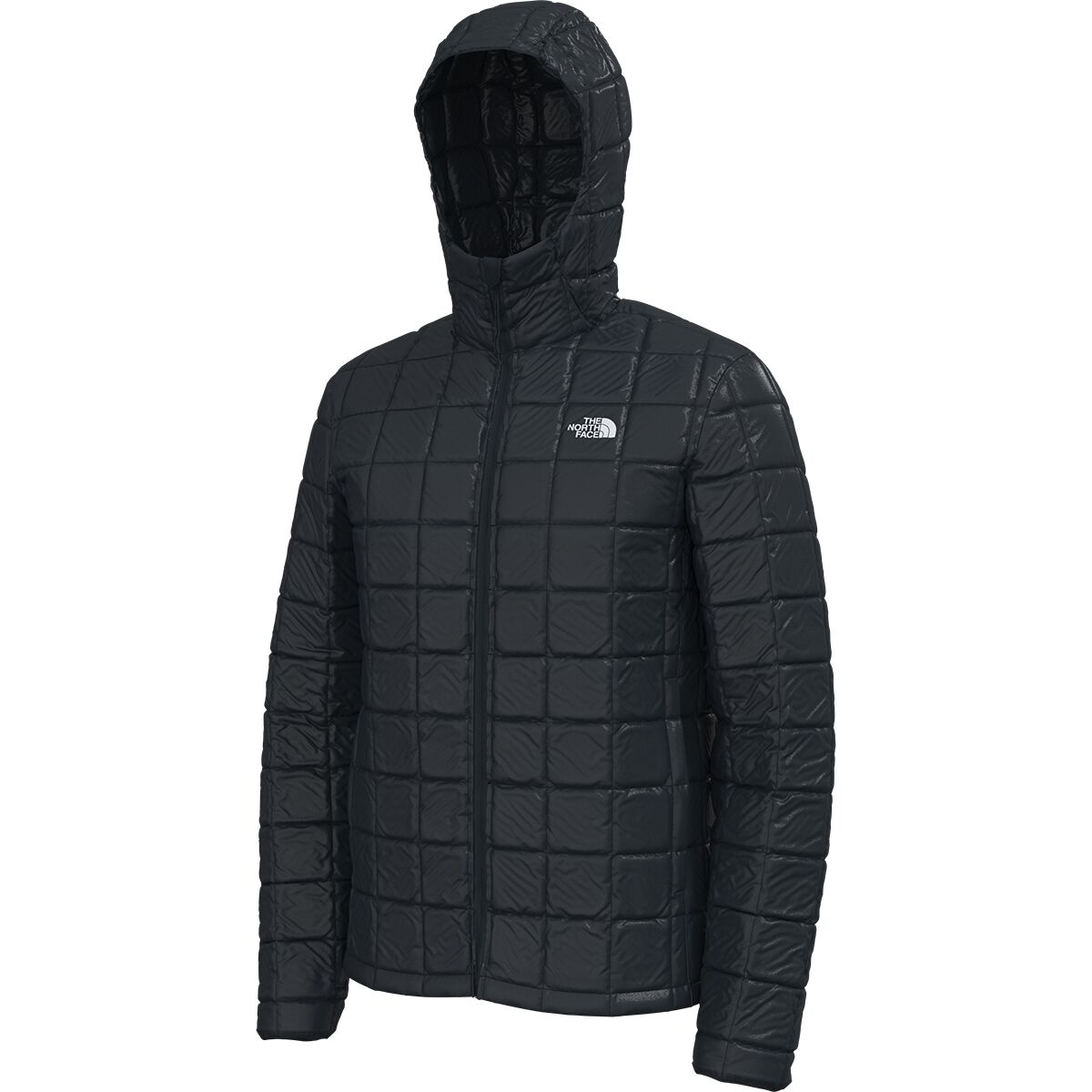 The North Face ThermoBall Eco Hoodie - Men's | Backcountry.com