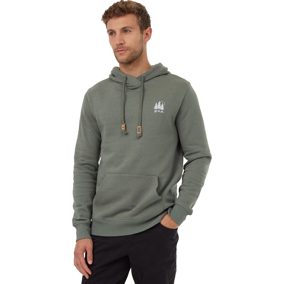 Tentree Arch Hoodie