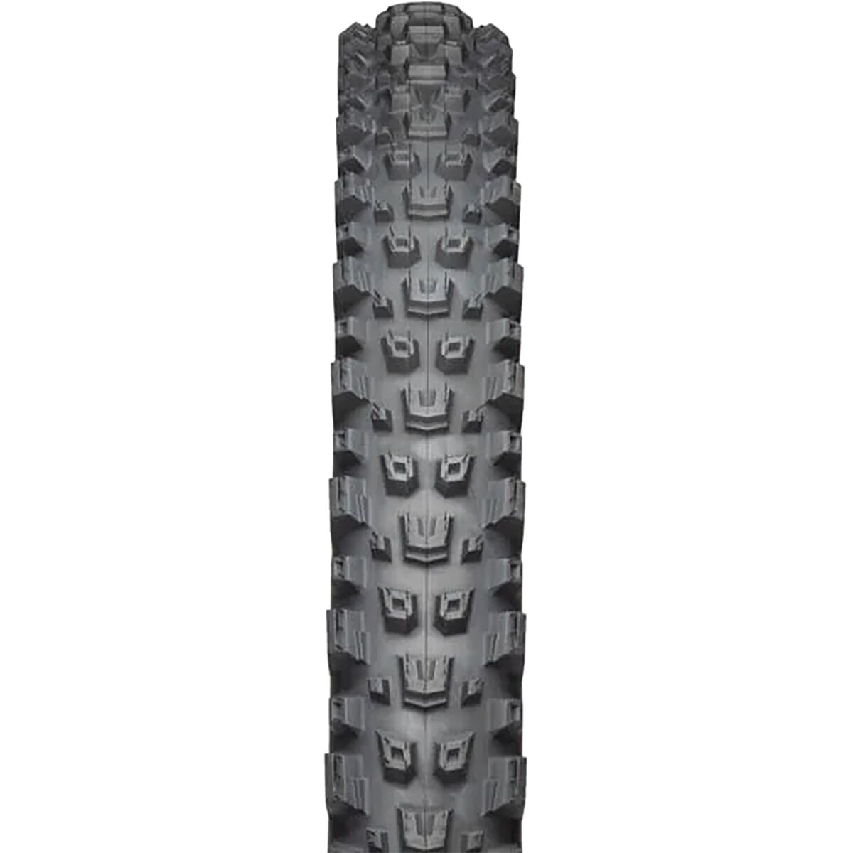 Teravail Warwick Tire - 27.5in