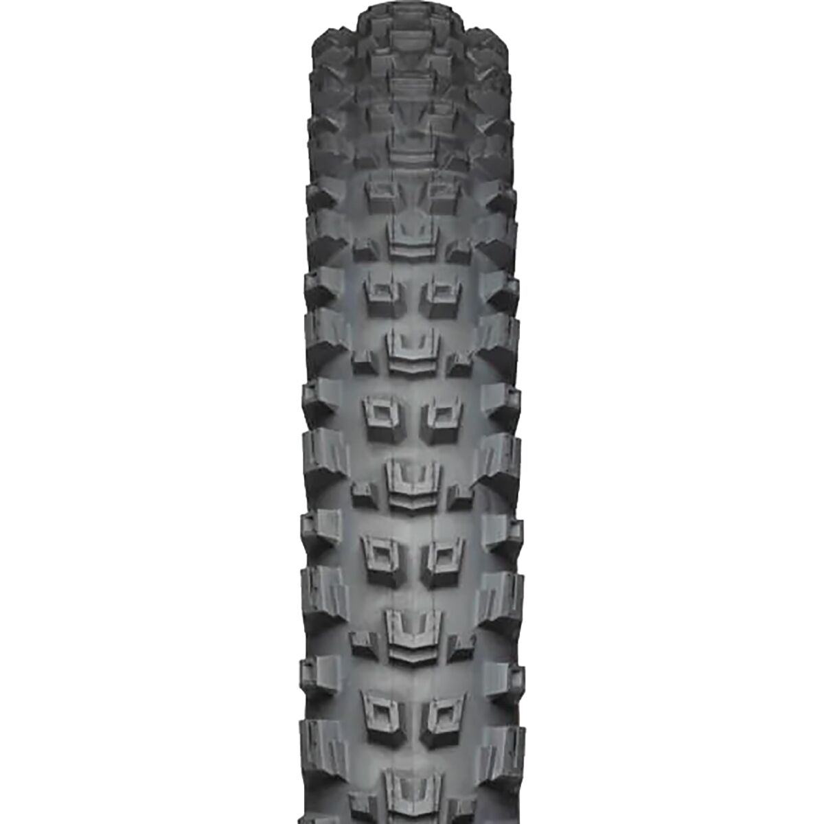 Teravail Warwick Tire - 29in
