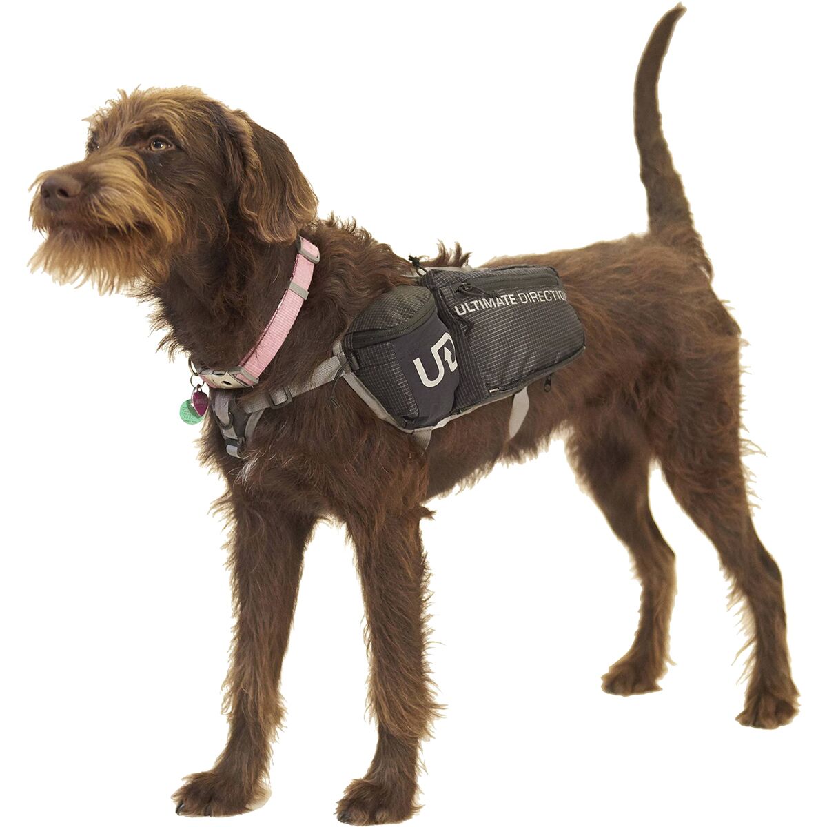 Ultimate Direction Dog Vest Hike & Camp