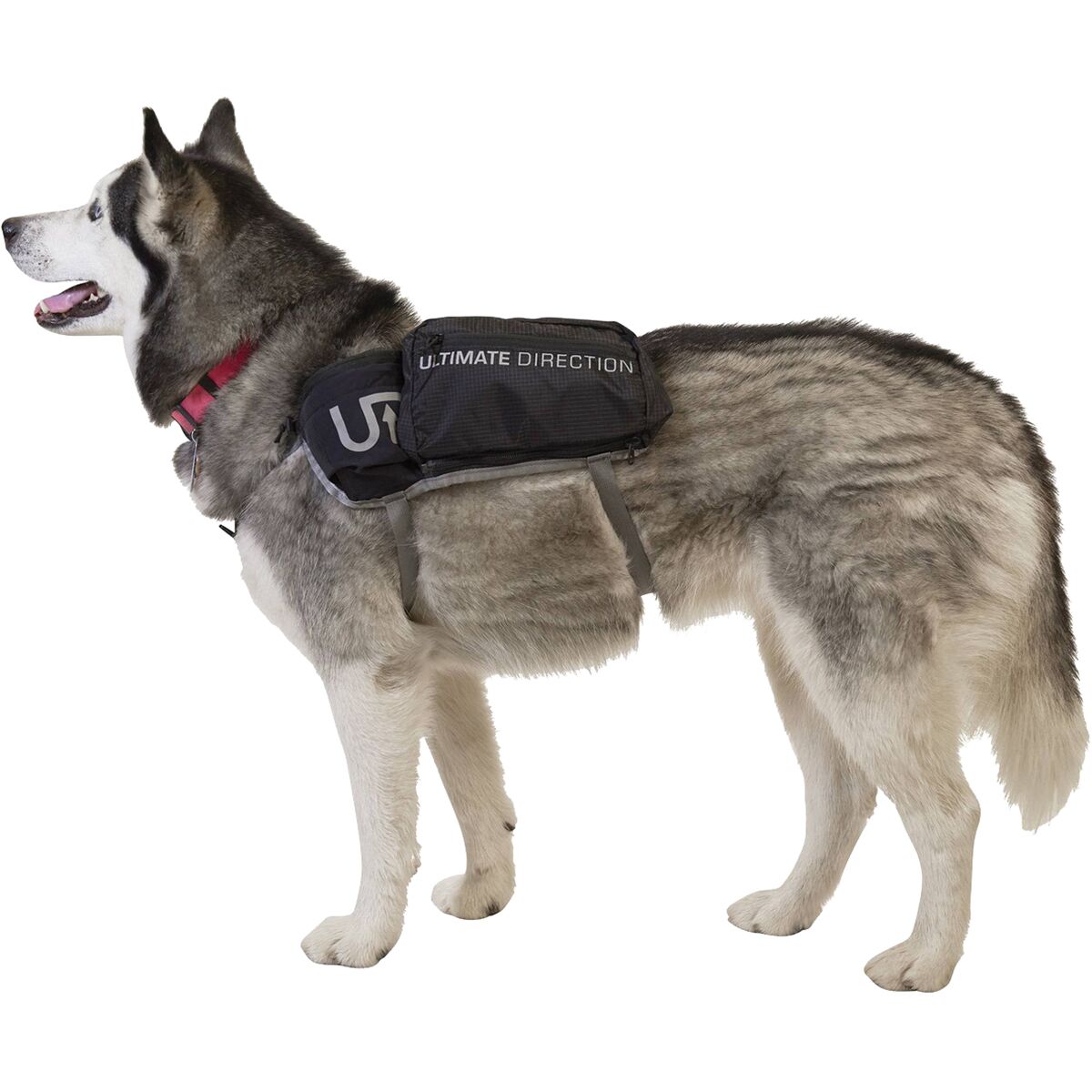 Ultimate Direction Dog Vest Hike & Camp