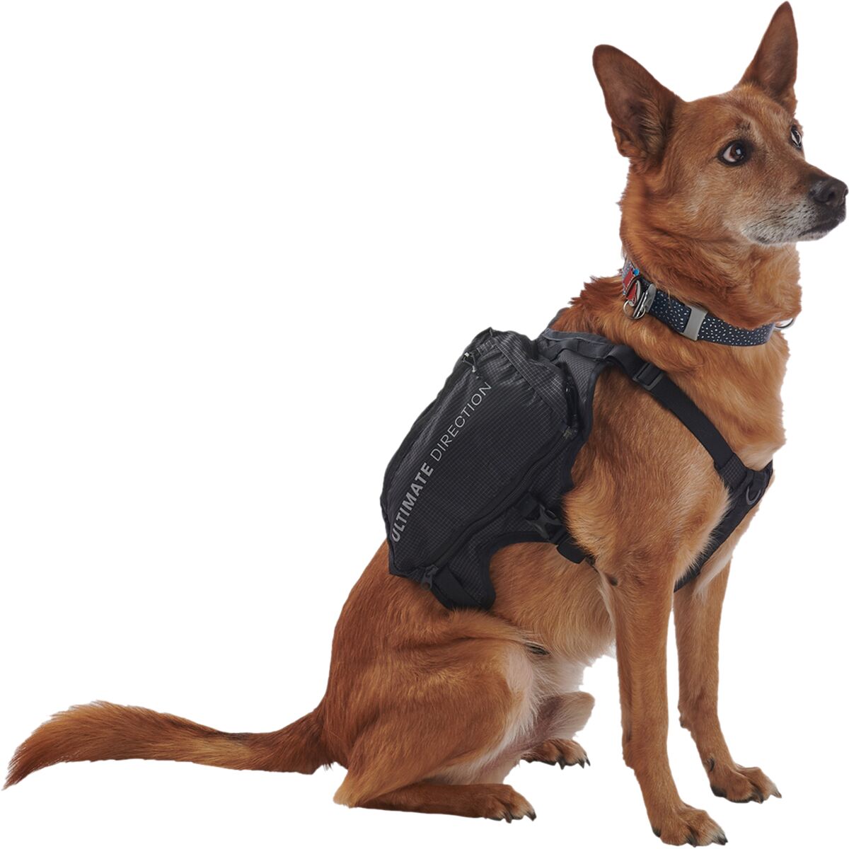 Ultimate Direction Dog Vest