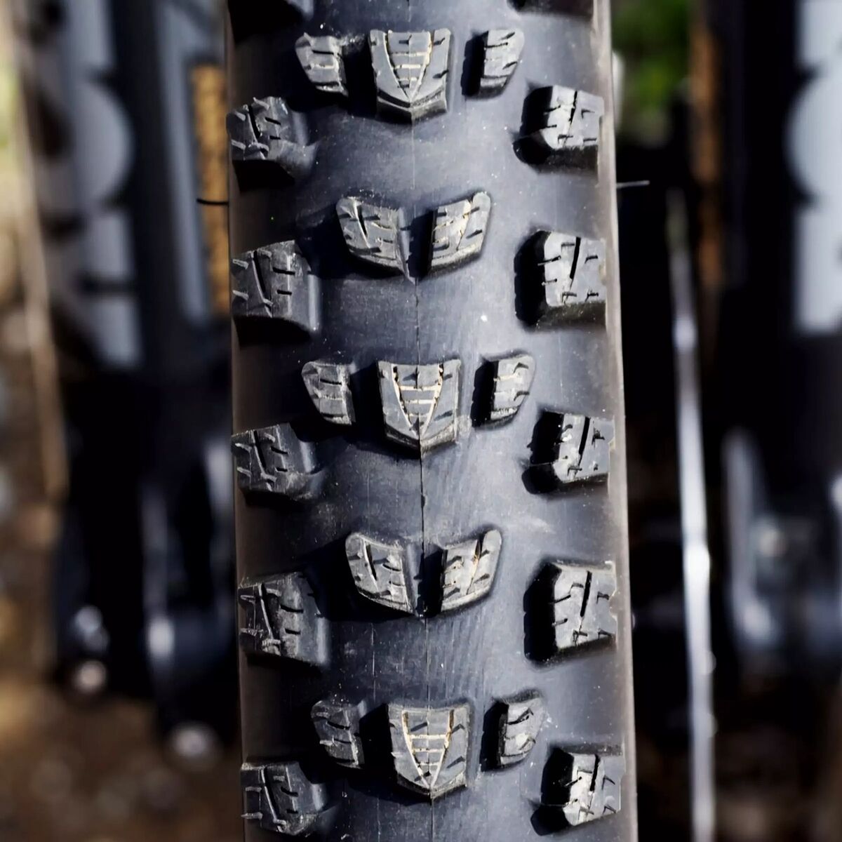 Vittoria Mostro Race Enduro G2.0 Tire - 29in