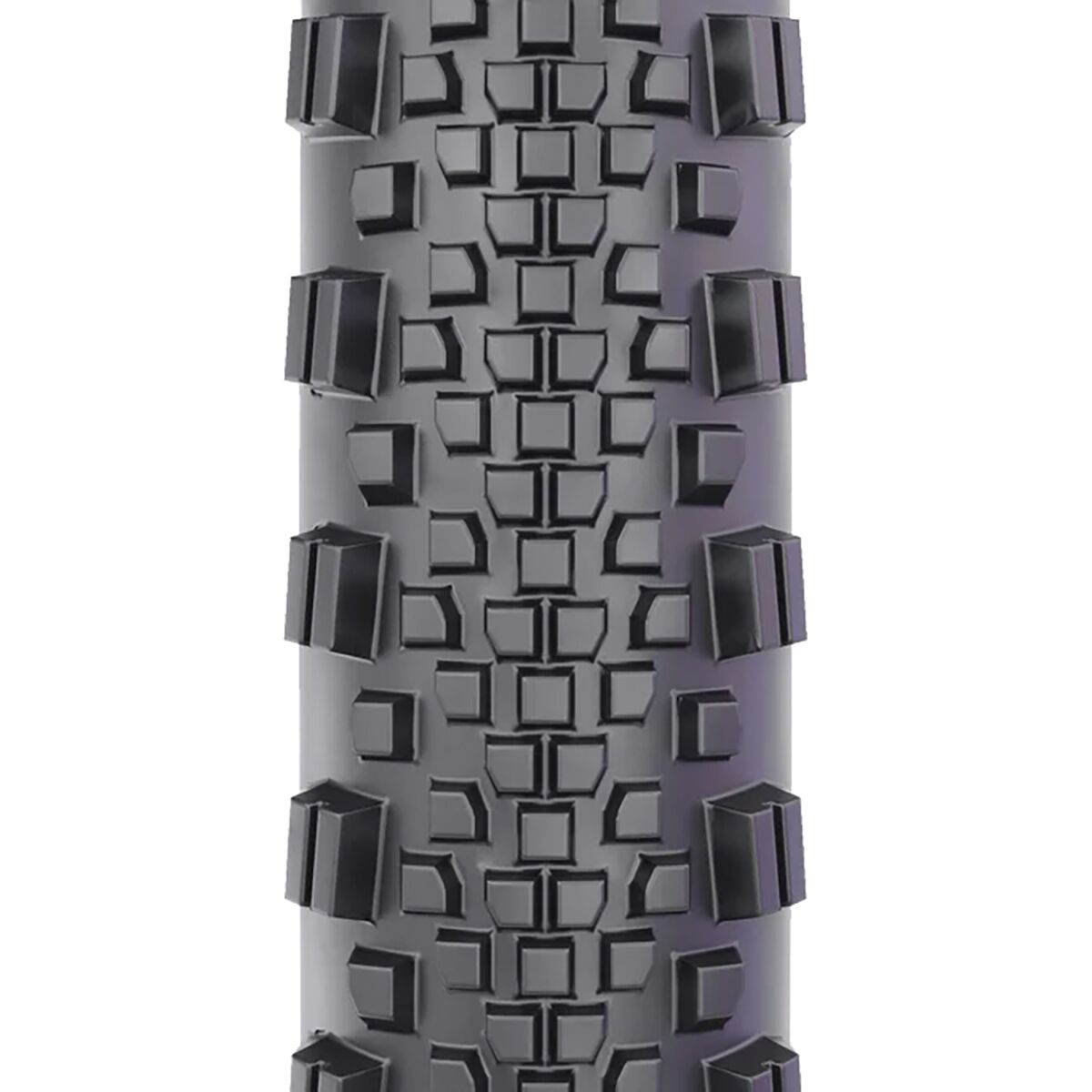 WTB Raddler TCS Tire - Tubeless