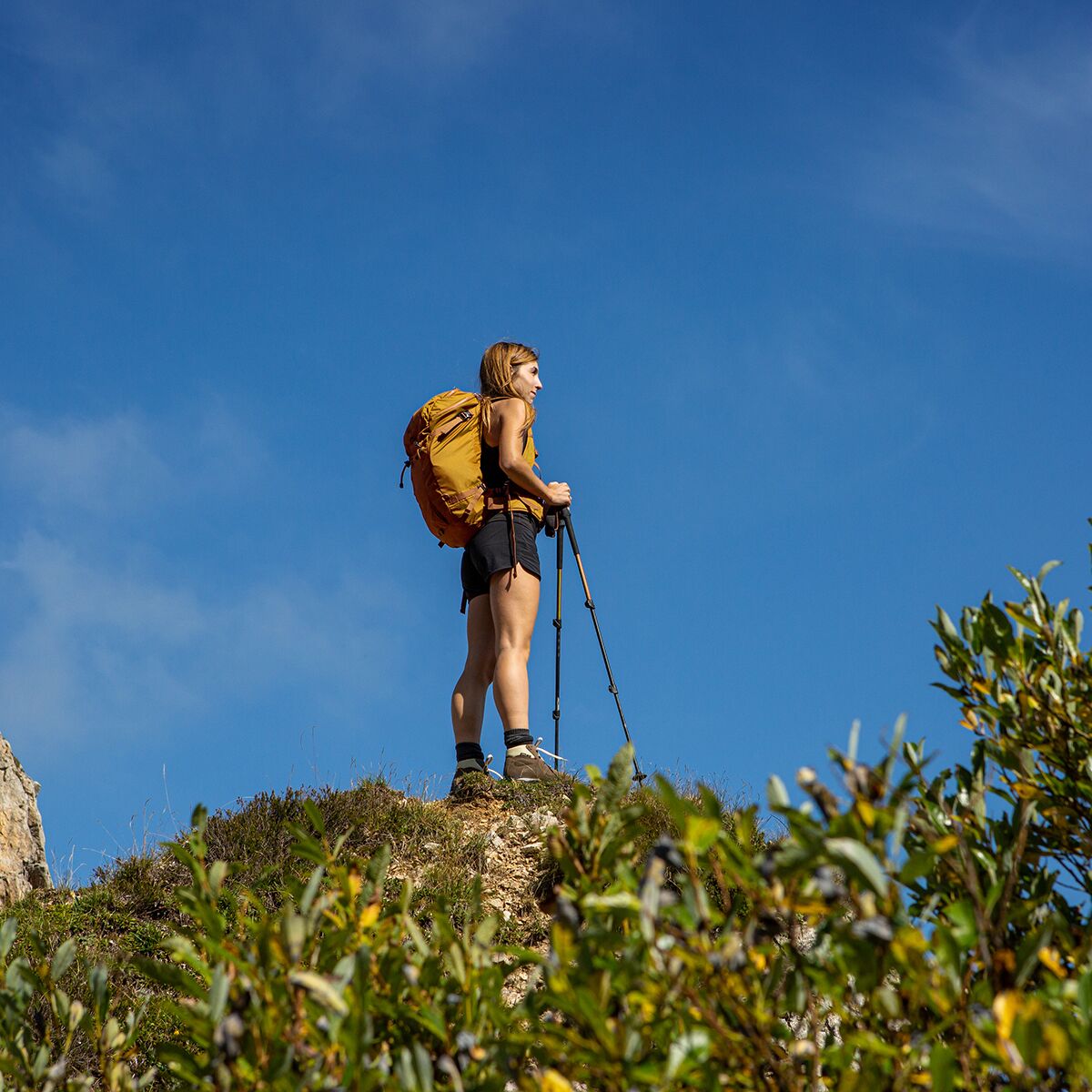 Zamberlan Frida GTX Hiking Boot Women's Footwear