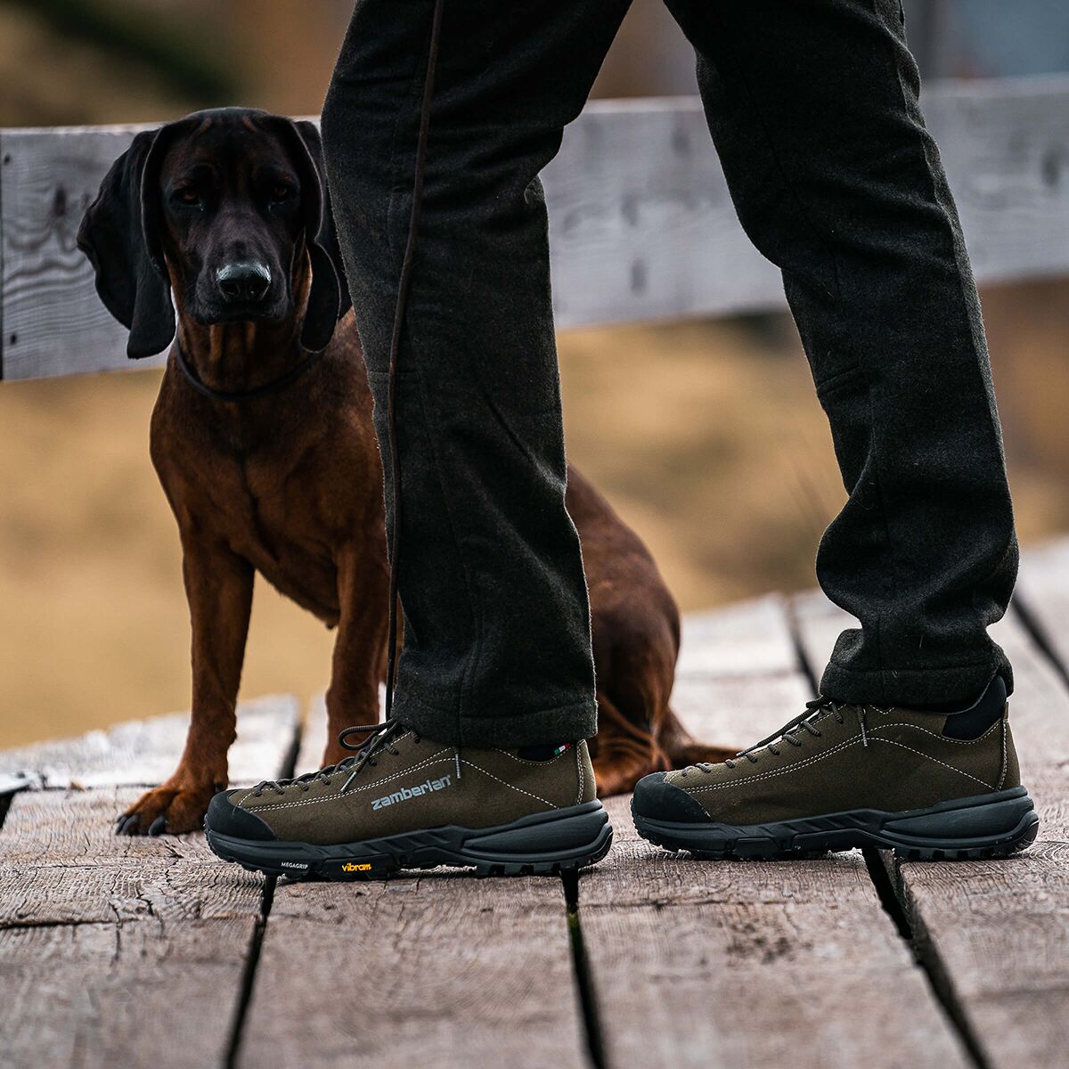 Мужские кроссовки Zamberlan Free Blast GTX Pro Hiking, цвет: Тёмный зелёный — фото 8