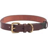 barbour webbing dog collar